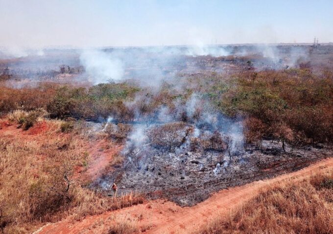 Incêndio no Parque Nacional de Brasília: um alerta para a preservação ambiental.